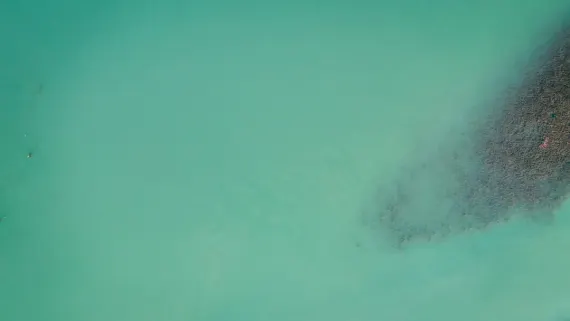 Казино Лъки Лук Поддръжка